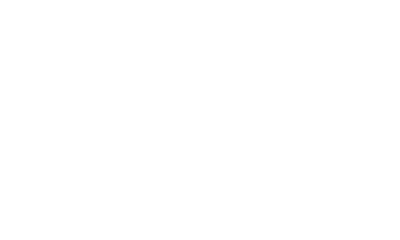 endo v2